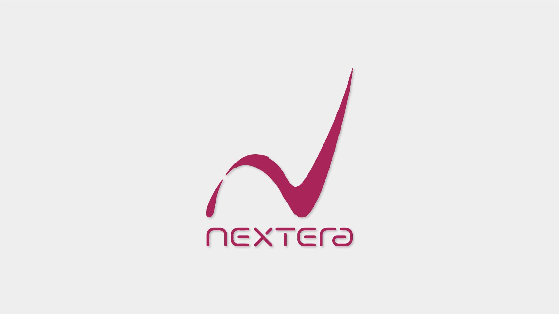 Nextera Website & Brandbook